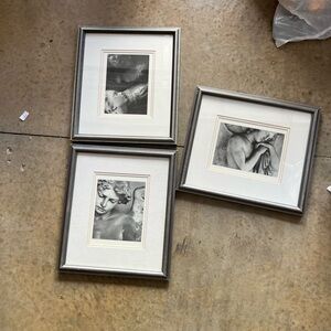Elegant Silver Framed Art Set